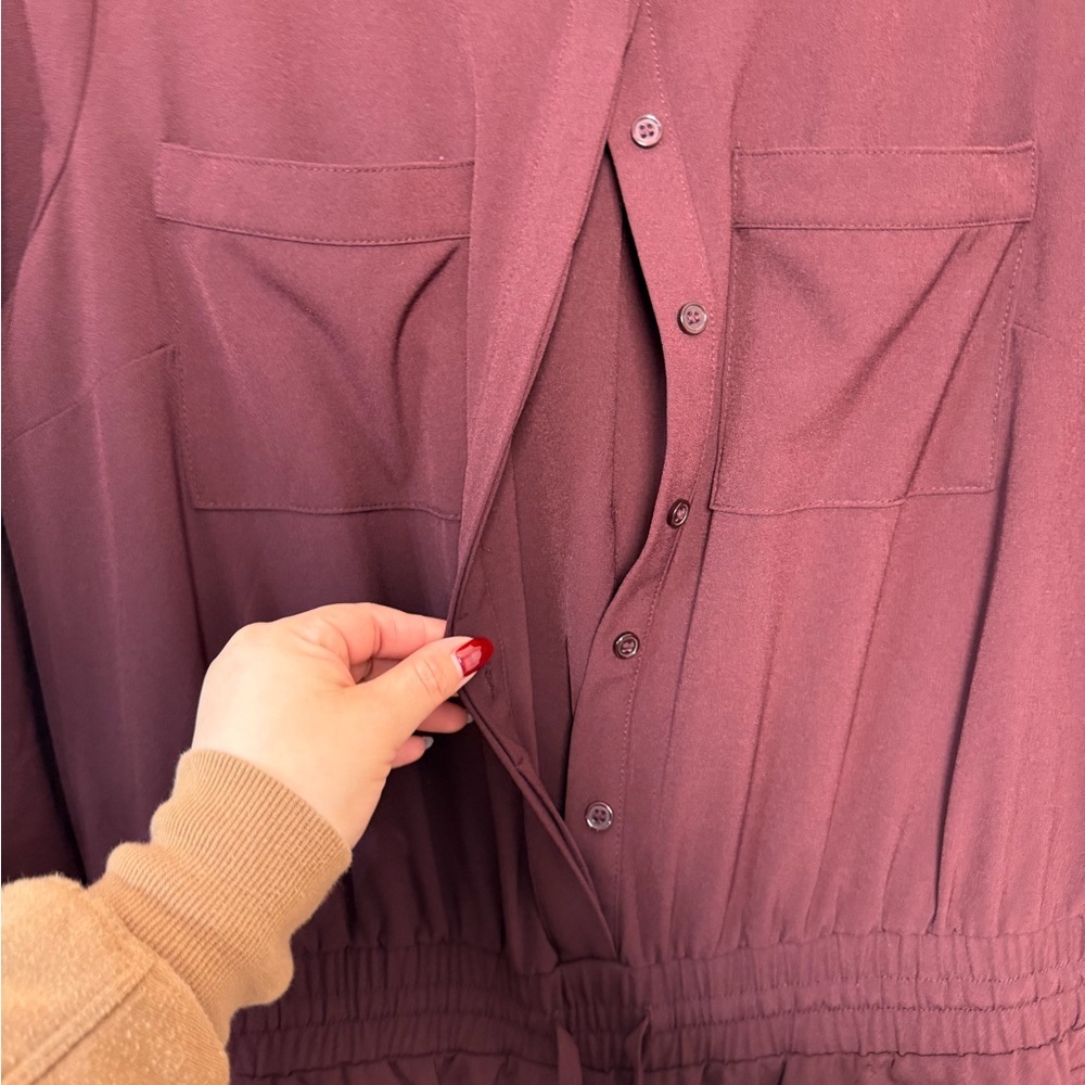 New York & Company Deep Maroon Jumpsuit - Picture 4 of 8